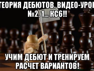 шахматы, шахматы для начинающих, гроссмейстер в шахматах, мастер в шахматах, играть в шахматы, тренер по шахматам