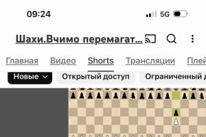 Шахи, шахи з гросмейстером, шахи БЕЗ гросмейстера, шахи для дорослих, Вітя Лоховськой, шахи для дітей, шахи для всіх, найгірший хід білих
