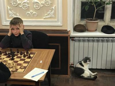 шахматы, шахматы для начинающих, гроссмейстер в шахматах, мастер в шахматах, играть в шахматы