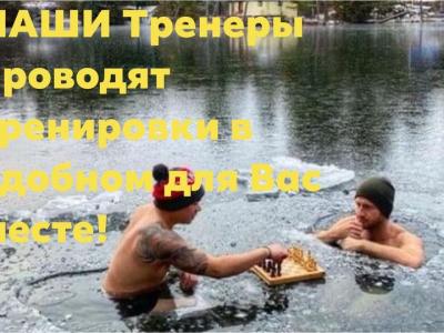 шахматы тренер по шахматам шахматы для начинающих