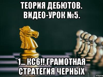 книги по шахматам, купить книги по шахматам, шахматы, шахматы для начинающих