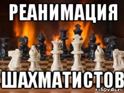 шахматы, шахматы для начинающих, гроссмейстер в шахматах, мастер в шахматах, играть в шахматы