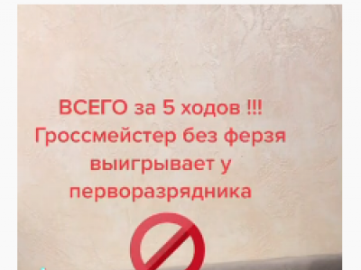 шахматы, шахматы для начинающих, гроссмейстер в шахматах, мастер в шахматах, играть в шахматы