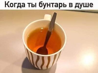 шахматы, шахматы для начинающих, гроссмейстер в шахматах, мастер в шахматах, играть в шахматы, тренер по шахматам