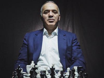 шахматы, шахматы для начинающих, гроссмейстер в шахматах, мастер в шахматах, играть в шахматы
