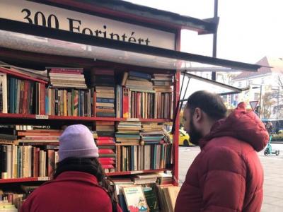 шахматы, шахматы для начинающих, гроссмейстер в шахматах, мастер в шахматах, играть в шахматы, тренер по шахматам