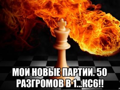 шахматы, шахматы для начинающих, гроссмейстер в шахматах, мастер в шахматах, играть в шахматы