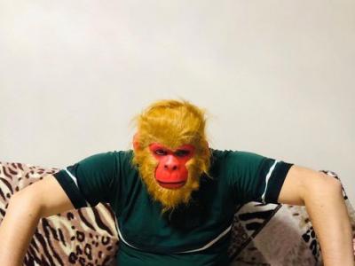 турнир, победа, игра, шахматы, приз, шахматы для начинающих