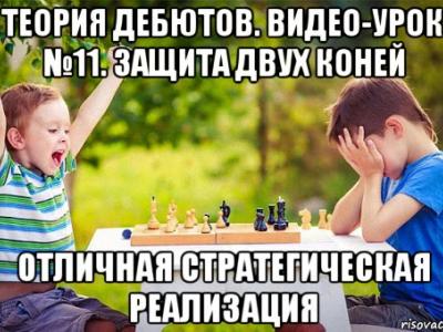 шахматы, шахматы для начинающих, гроссмейстер в шахматах, мастер в шахматах, играть в шахматы