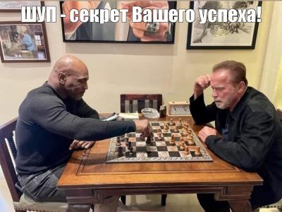 шахматы, шахматы для начинающих, гроссмейстер в шахматах, мастер в шахматах, играть в шахматы