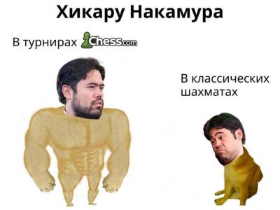 шахматы, шахматы для начинающих, гроссмейстер в шахматах, мастер в шахматах, играть в шахматы, тренер по шахматам