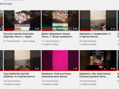 шахматы, шахматы для начинающих, гроссмейстер в шахматах, мастер в шахматах, играть в шахматы, тренер по шахматам