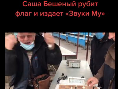 шахматы, шахматы для начинающих, гроссмейстер в шахматах, мастер в шахматах, играть в шахматы, тренер по шахматам