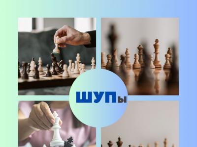 #Игра #шахматы #гроссмейстерторжествомногообразия #chess 