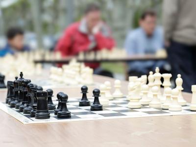 #Игра #читеры #шахматы #юмор #гроссмейстерторжествомногообразия #chess #cheaters