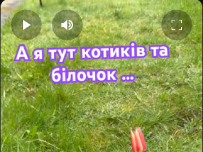 тренер#шахи#грати у шахи#чемпіон світу#шахи для чайників#шахи для новачків#навчитися грати у шахи#шаховий тренер#