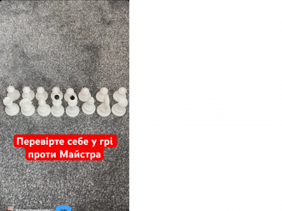 тренер#грати в шахи#чемпіон світу#гросмейстер#майстер#тренер по шахах#майстер по шахах#гра в шахи онлайн#