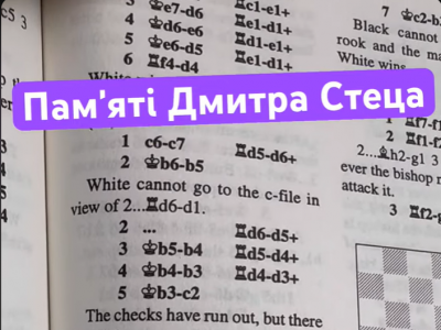 тренер#грати в шахи#чемпіон світу#гросмейстер#майстер#тренер по шахах#майстер по шахах#гра в шахи онлайн#