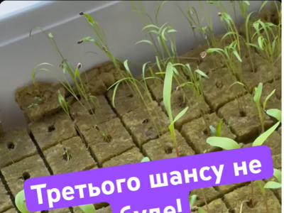 тренер#грати в шахи#чемпіон світу#гросмейстер#майстер#тренер по шахах#майстер по шахах#гра в шахи онлайн#