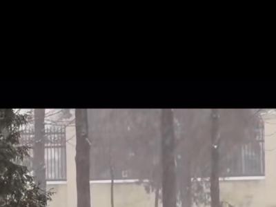 грати в шахи#тренер з шахів#шахова школа#шахи з нуля#майстер по шахах#чемпіон світу з шахів#грати в шахи онлайн#