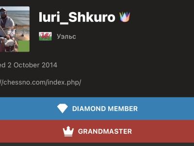 Шахи, шахи з гросмейстером, шахи для дітей, шахи для дорослих, шахи для початківців, якщо результат має значення, гросмейстер Юрій Шкуро,