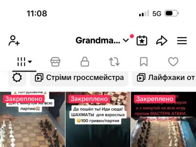 бліц з гросмейстером,шахи для дорослих, шахи вчимо перемагати, гросмейстер Юрій шкуро, шахи для всіх, шахова школа,