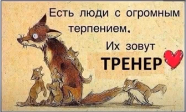 шахматы, шахматы для начинающих, гроссмейстер в шахматах, мастер в шахматах, играть в шахматы, тренер по шахматам