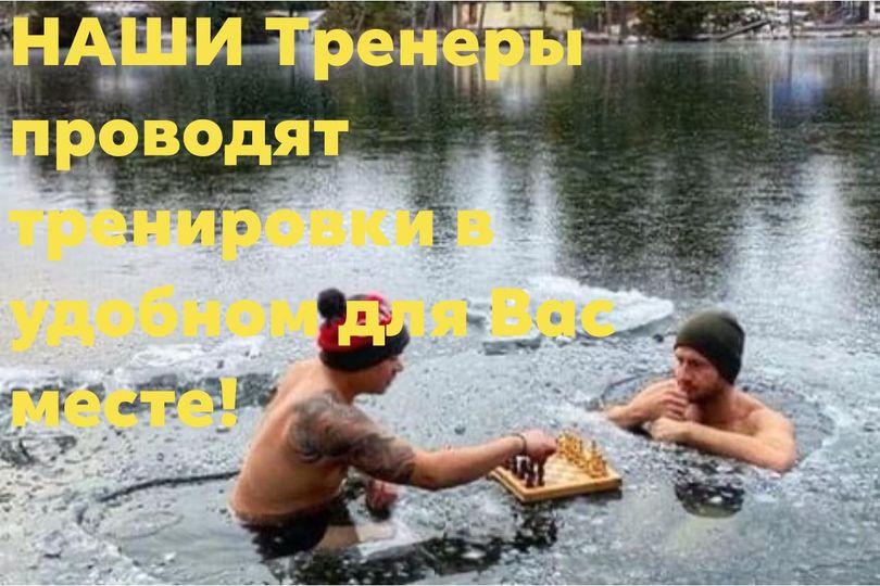 шахматы тренер по шахматам шахматы для начинающих