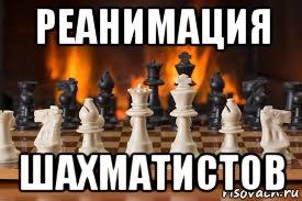 шахматы, шахматы для начинающих, гроссмейстер в шахматах, мастер в шахматах, играть в шахматы