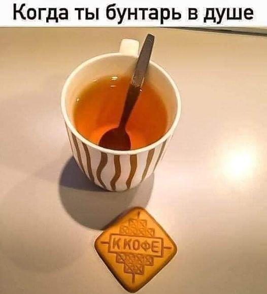 шахматы, шахматы для начинающих, гроссмейстер в шахматах, мастер в шахматах, играть в шахматы, тренер по шахматам