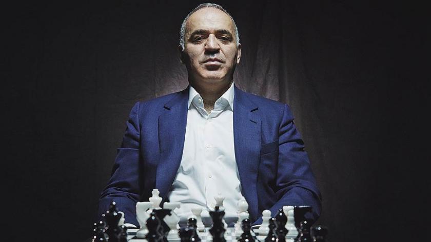 шахматы, шахматы для начинающих, гроссмейстер в шахматах, мастер в шахматах, играть в шахматы