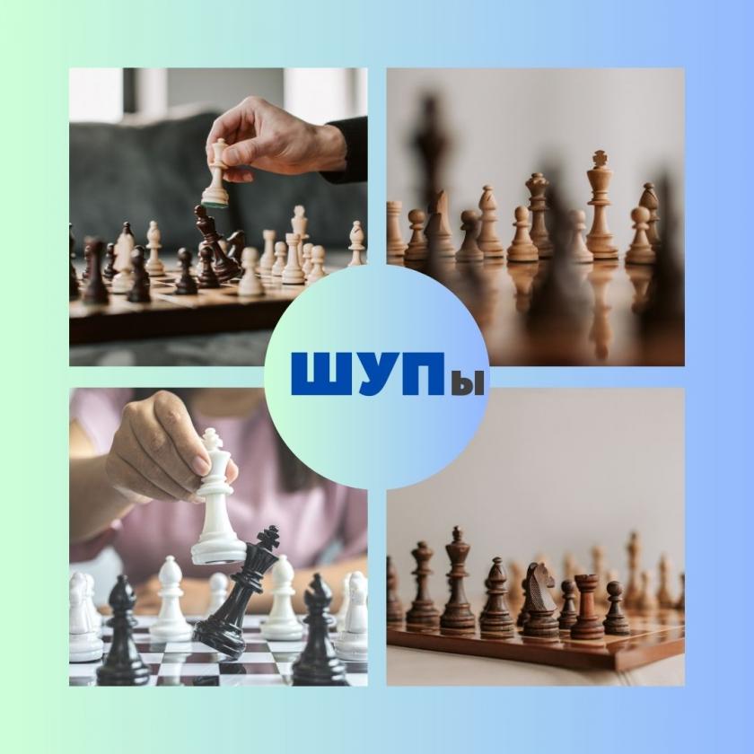 #читер #шахматы #фшу #гроссмейстерторжествомногообразия