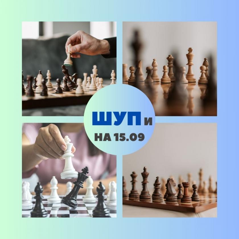 #Игра #шахматы #гроссмейстерторжествомногообразия #chess