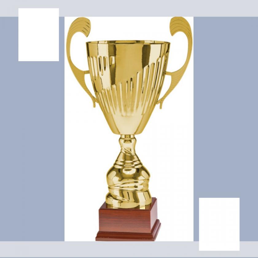 #Игра #шахматы #гроссмейстерторжествомногообразия #chess