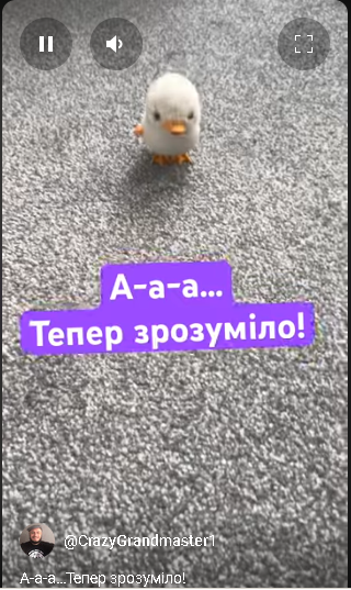 тренер#шахи#грати у шахи#чемпіон світу#шахи для чайників#шахи для новачків#навчитися грати у шахи#шаховий тренер#