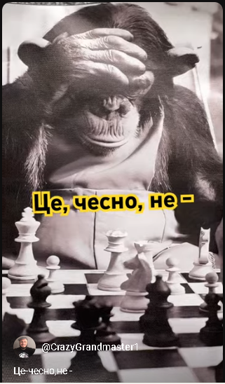 тренер#шахи#грати у шахи#чемпіон світу#шахи для чайників#шахи для новачків#навчитися грати у шахи#шаховий тренер#