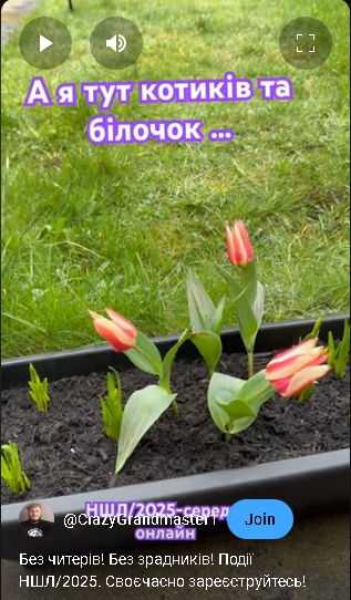 тренер#шахи#грати у шахи#чемпіон світу#шахи для чайників#шахи для новачків#навчитися грати у шахи#шаховий тренер#