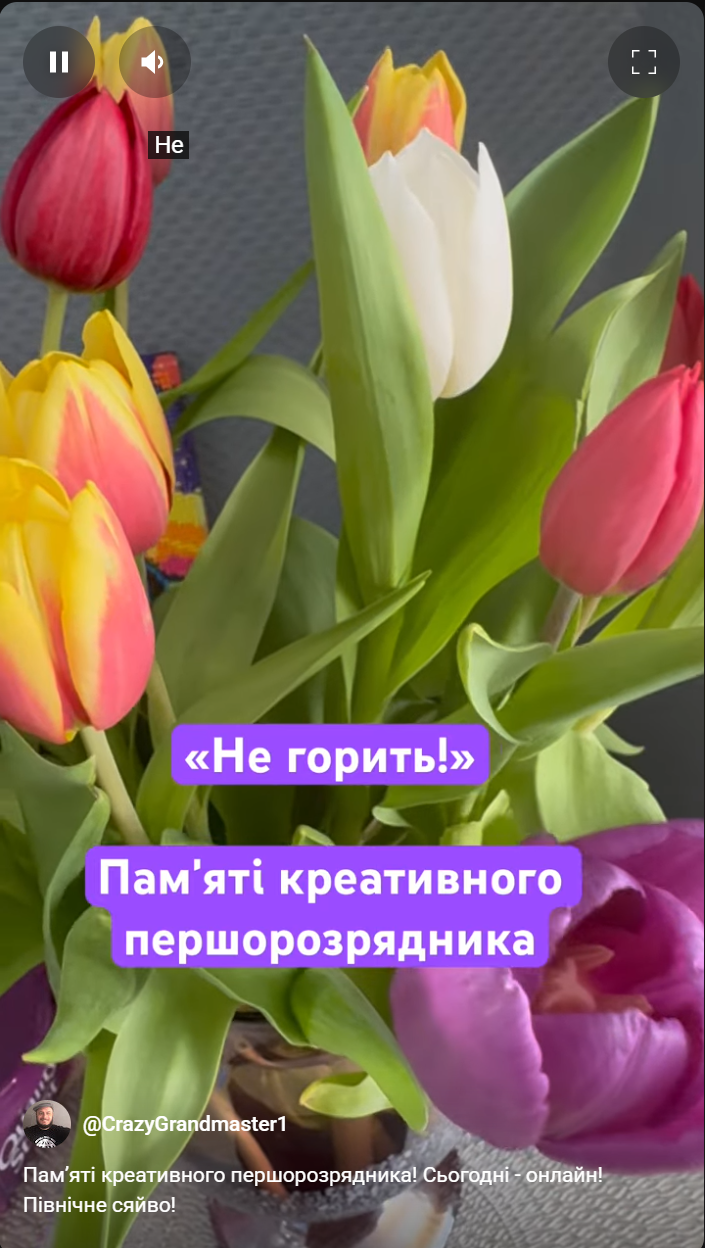 тренер#грати в шахи#чемпіон світу#гросмейстер#майстер#тренер по шахах#майстер по шахах#гра в шахи онлайн#
