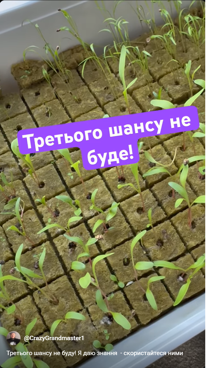 тренер#грати в шахи#чемпіон світу#гросмейстер#майстер#тренер по шахах#майстер по шахах#гра в шахи онлайн#