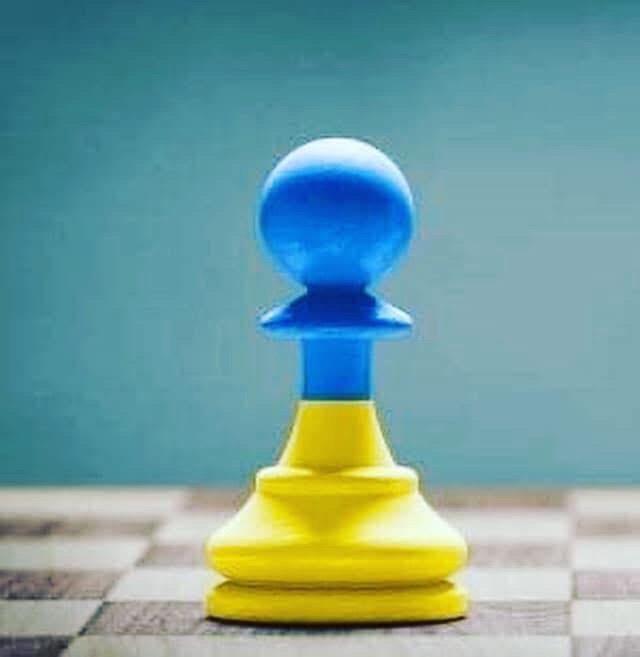 грати в шахи#тренер з шахів#шахова школа#шахи з нуля#майстер по шахах#чемпіон світу з шахів#грати в шахи онлайн#