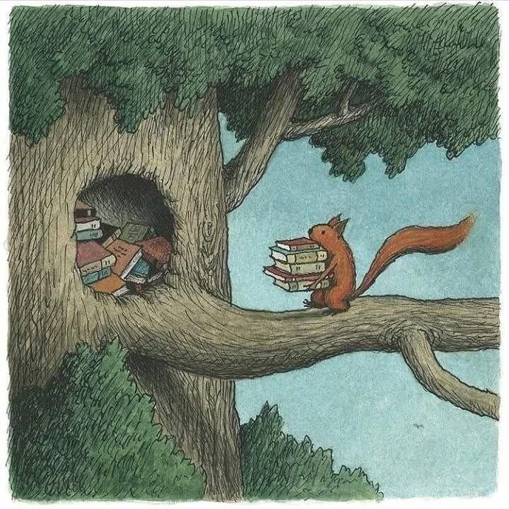 грати в шахи#тренер з шахів#шахова школа#шахи з нуля#майстер по шахах#чемпіон світу з шахів#грати в шахи онлайн#