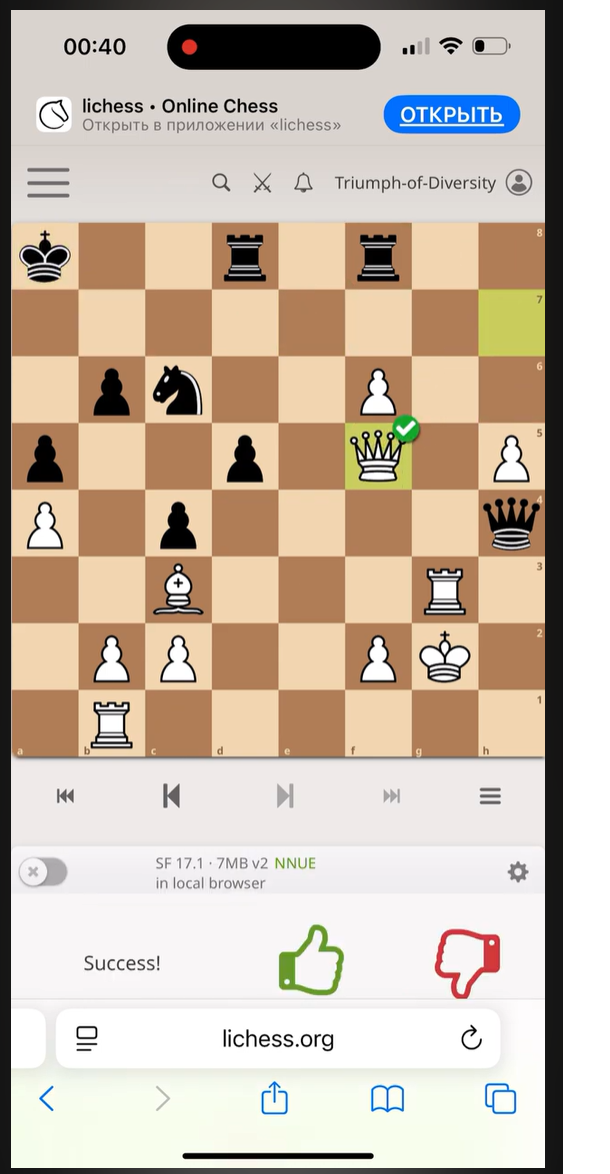 грати в шахи#тренер з шахів#шахова школа#шахи з нуля#майстер по шахах#чемпіон світу з шахів#грати в шахи онлайн#