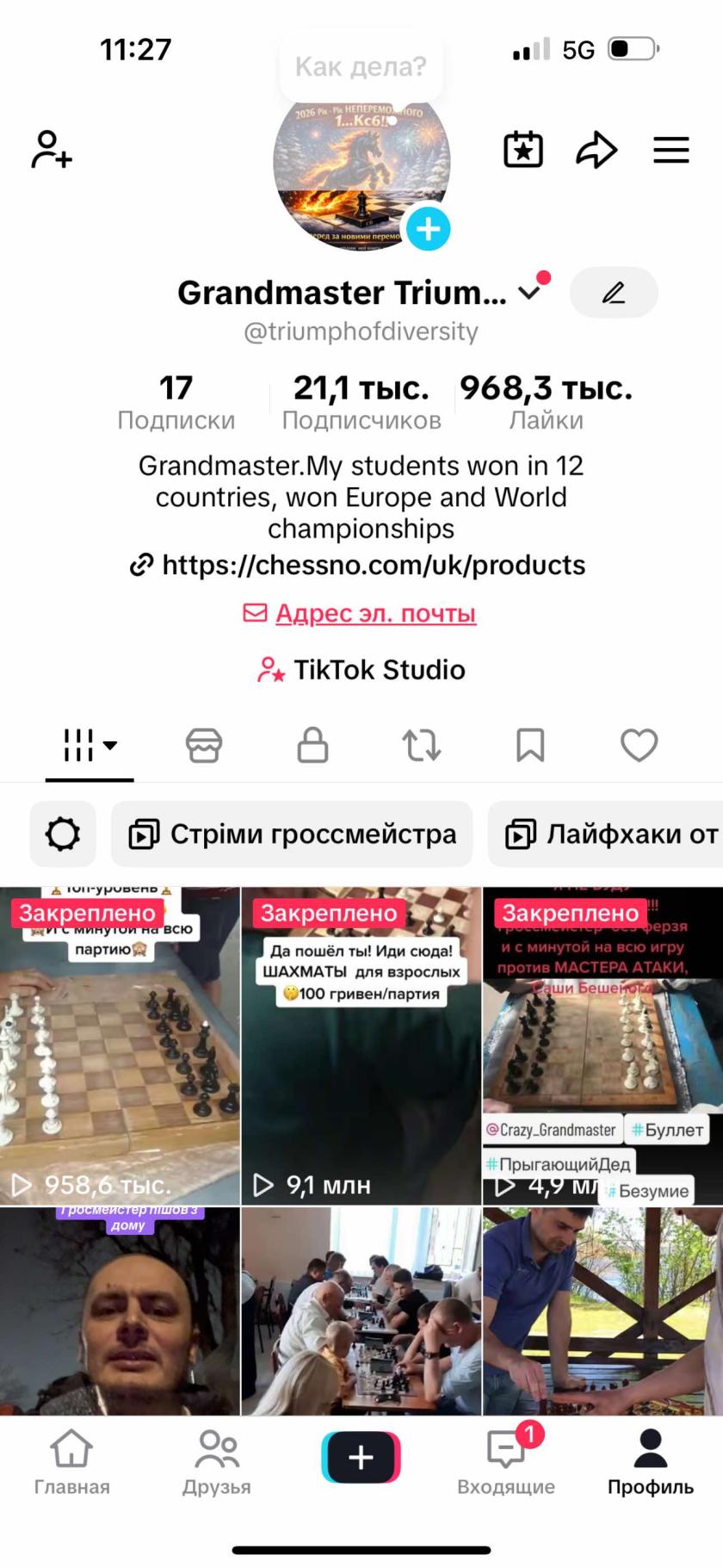 філософія успіху,психолог, шахи з гросмейстером, шахи для дітей, шахи для дорослих, спортивний психолог, тренер, уроки шахів,